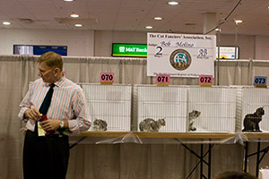 Click to Enter 'Cat Show' Section